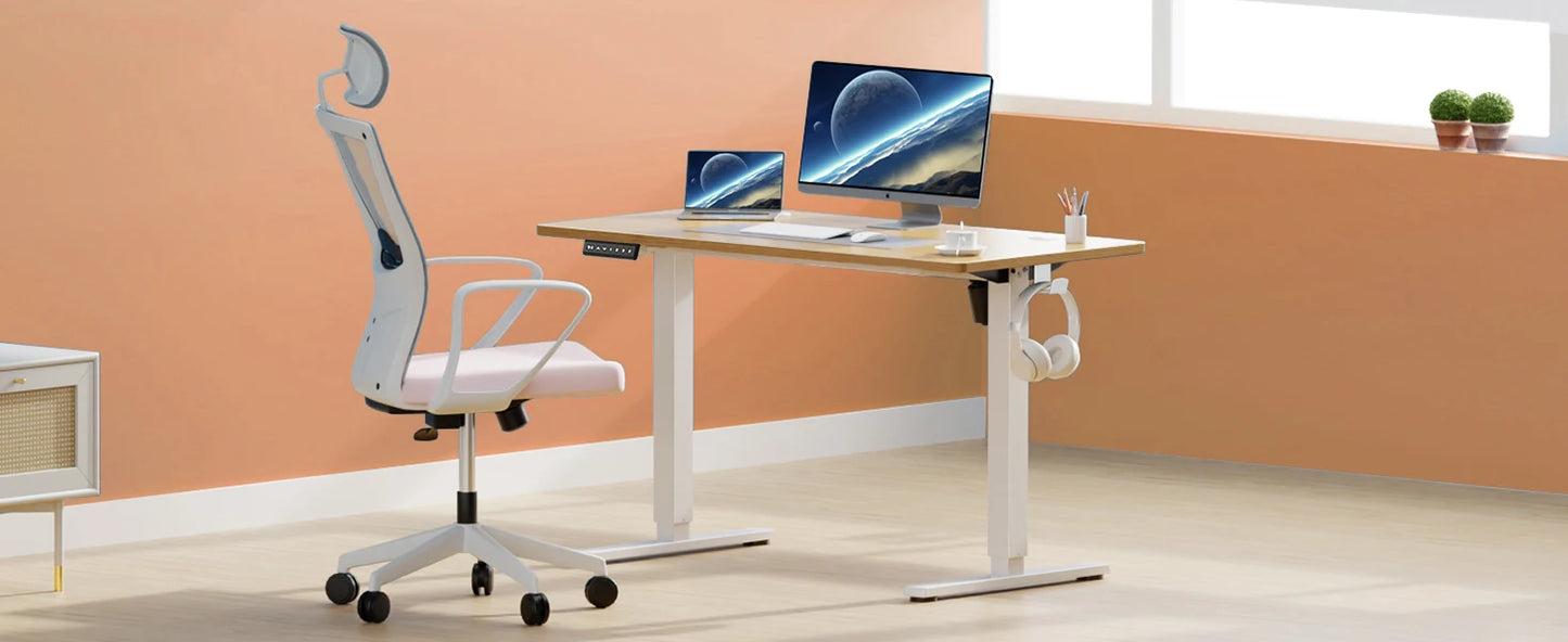 Electric Standing Desk